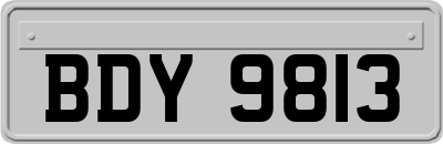 BDY9813