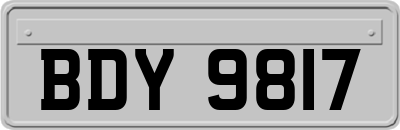 BDY9817