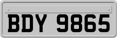 BDY9865