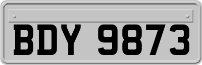 BDY9873