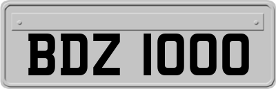 BDZ1000