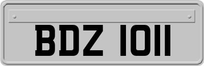 BDZ1011