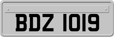 BDZ1019