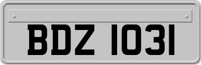 BDZ1031