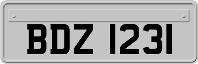 BDZ1231
