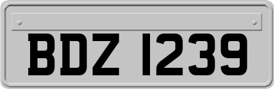 BDZ1239