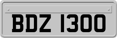 BDZ1300