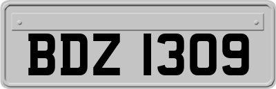 BDZ1309