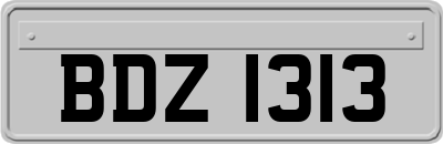 BDZ1313