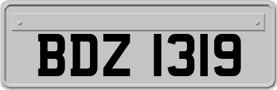 BDZ1319
