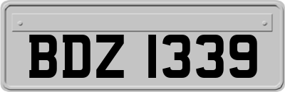 BDZ1339