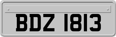 BDZ1813