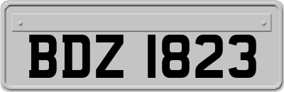 BDZ1823