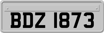 BDZ1873