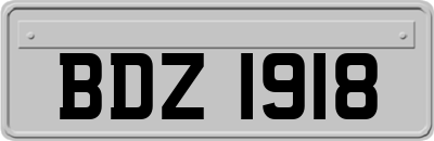 BDZ1918