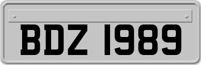 BDZ1989
