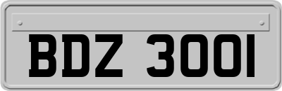 BDZ3001