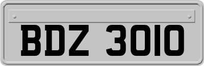 BDZ3010