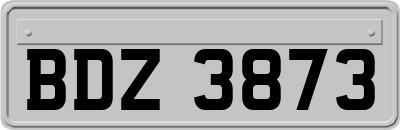 BDZ3873