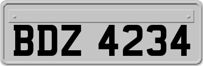 BDZ4234