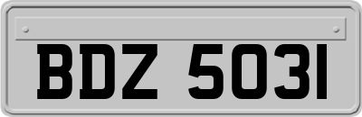 BDZ5031