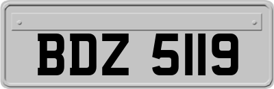 BDZ5119