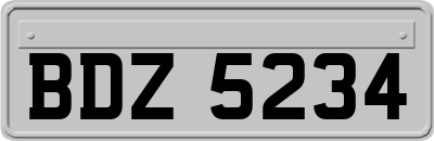BDZ5234