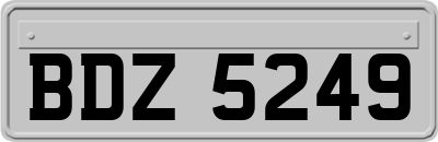 BDZ5249