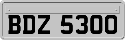 BDZ5300