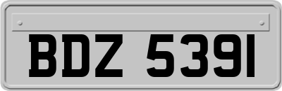BDZ5391
