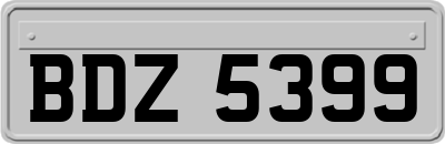 BDZ5399