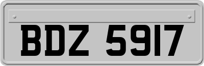 BDZ5917