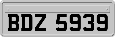 BDZ5939