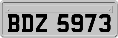 BDZ5973