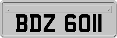 BDZ6011