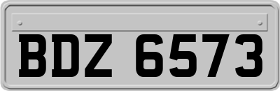 BDZ6573