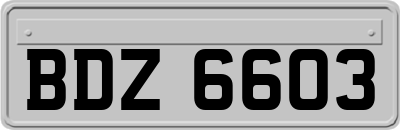 BDZ6603