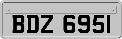 BDZ6951