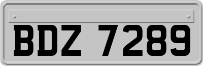 BDZ7289