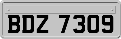 BDZ7309