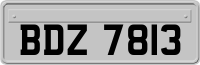 BDZ7813