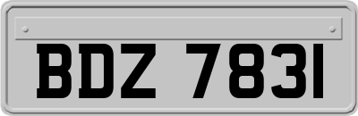 BDZ7831