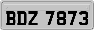 BDZ7873