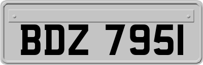 BDZ7951