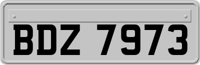 BDZ7973