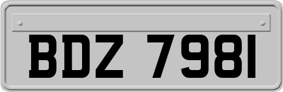 BDZ7981