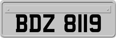 BDZ8119