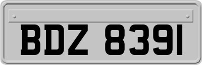 BDZ8391