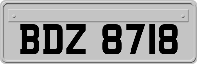 BDZ8718