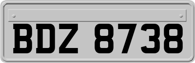 BDZ8738